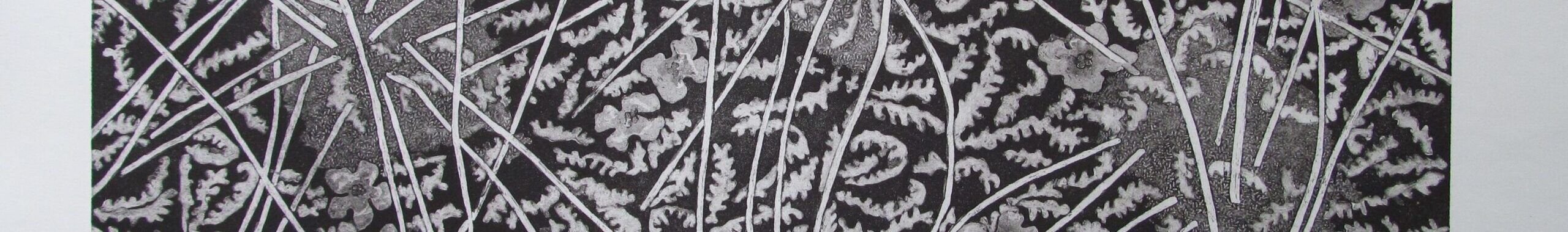 Cecil Day, Fall Cinnamon Fern.